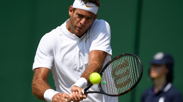 Juan Martín del Potro