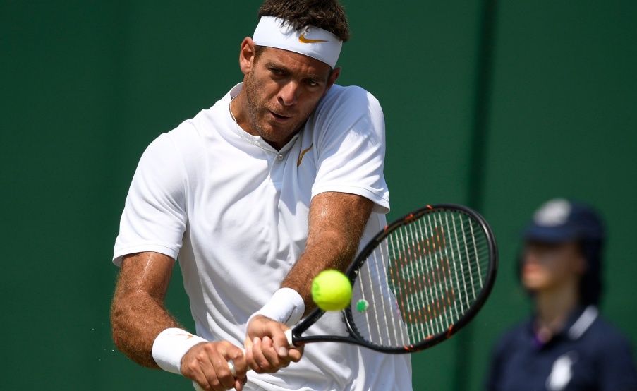 Juan Martín del Potro(EFE)