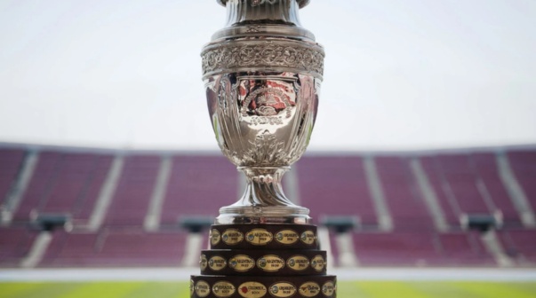 Echaron a un DT de la Copa América antes de la final: 